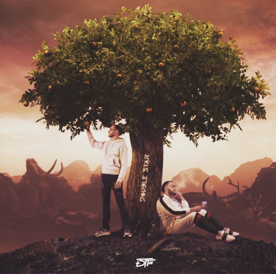 Bon de le rappeler mais les derniers album de DTF c’est des vrai masterclass