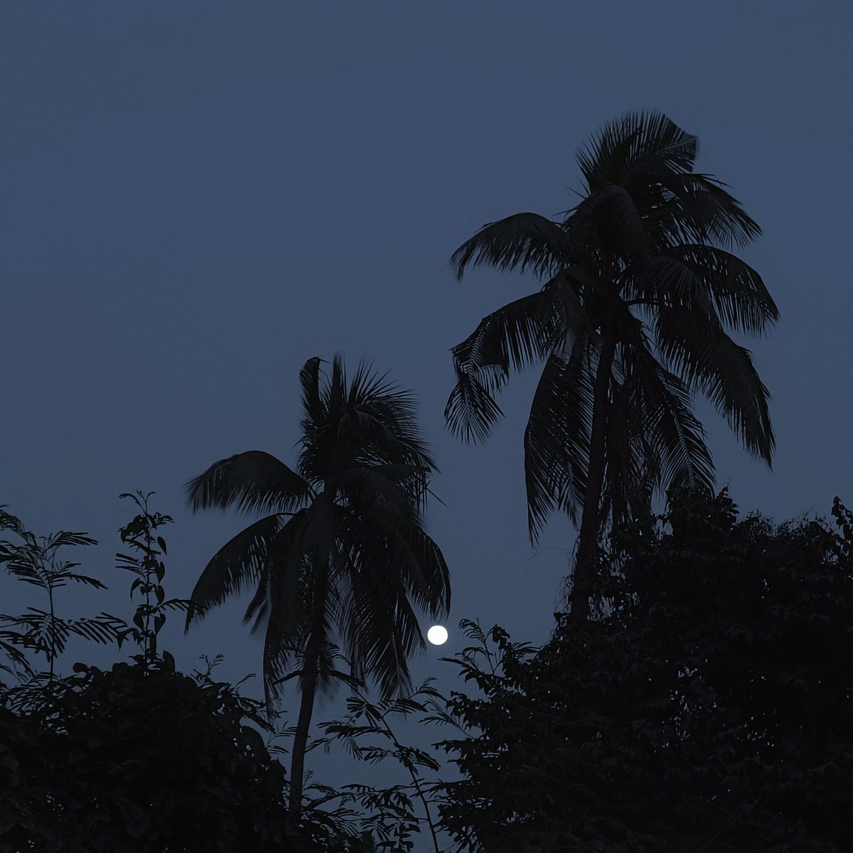 Peace doesn't mean to be in a Place where there is no noise, trouble, or hard work. It means to be in the midst of those feelings and still be calm in your heart.

#MoonRise #minimal <a href="/art444aura/">𓆩 ♡ 𓆪</a> <a href="/HomeToCreators/">Home To Creators 📸</a> @minimablu