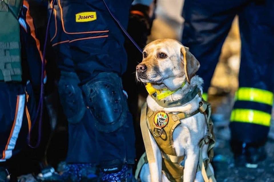 Tetiana Danylenko tweet media