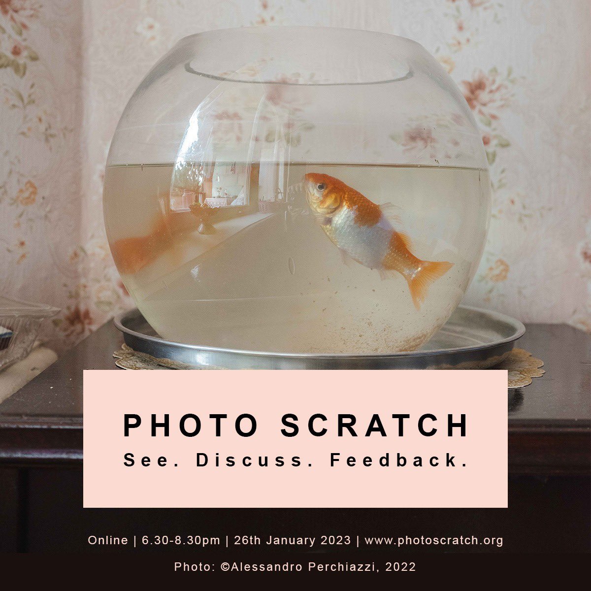 Photo_Scratch tweet media