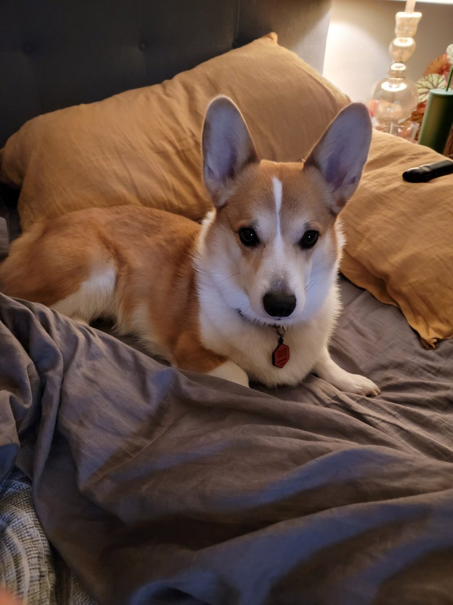 Rick Altherr tweet media