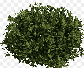 Ser Winter tweet media