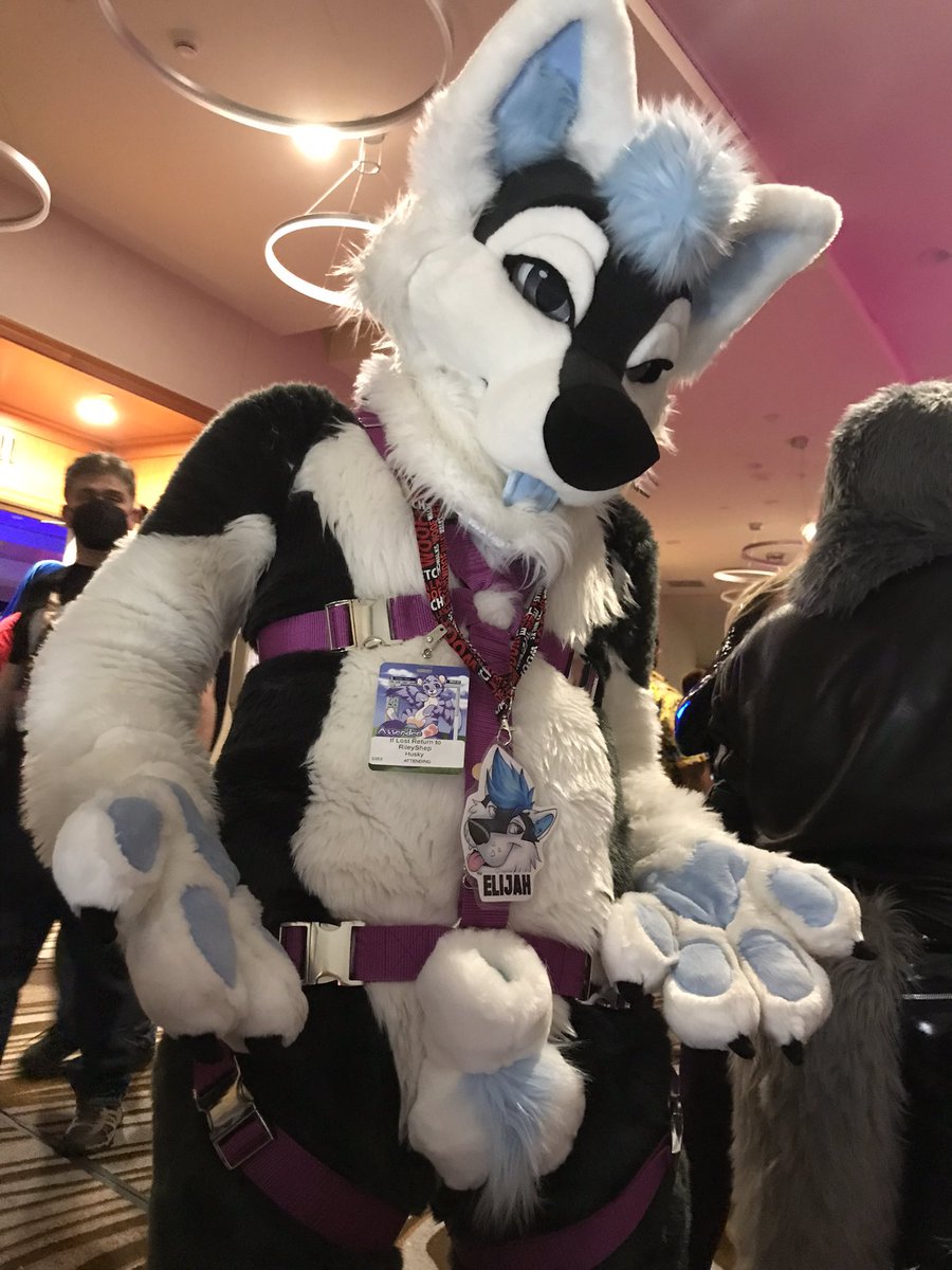 suitsyourfancy's tweet photo. THE FC NIGHT MARKET IS LIT!!! @furcon #furtherconfusion2023 #nightmarket https://t.co/3BpedfbvSD