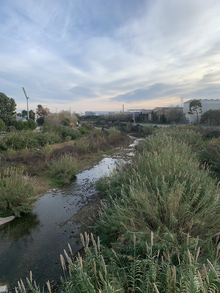 Nuria__Mas's tweet photo. Bon dia, els envie aquesta imatge per a que es percibisca les condicions en les que està el camí del riu. Tenint un paratge tan meravellós, no cabria la possibilitat d'acondicionar eixa zona per a passetjar, en condicions, pel riu Serpis? @ayto_gandia https://t.co/xwhZEk7pUe