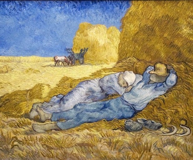 Happy weekend 🌻🌻