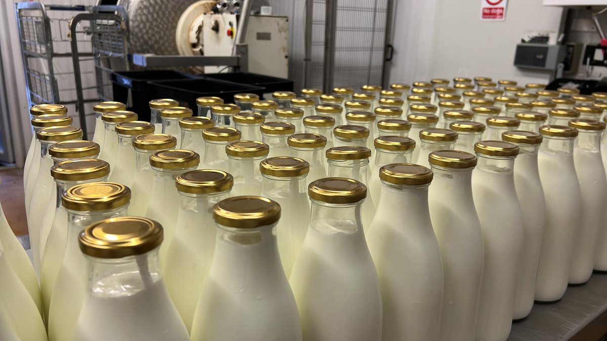 BrinkworthDairy's tweet image. Lots of lovely Kefir. You can buy it today at Queen’s Park and at High Street Kensington farmers markets Brinkworth Dairy #localfarm #livelocal #farmersmarkets #farmersofinsta