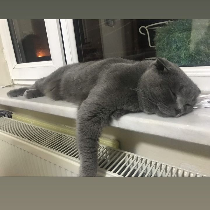 Okty (@okty_akyr) on Twitter photo 