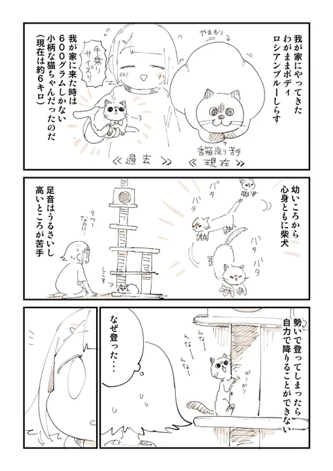 降り方のクセが強い、うちの猫の漫画描きました! 