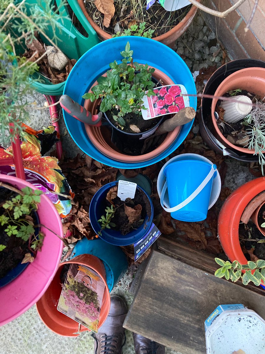 madeleinemaste4's tweet photo. In amongst the pots
#Sunday the new
#frontback and the
rose 🌹 has proved
hardy surviving the
bitter cold frost ice
mists of Winter ⭐️
#alternativeview
perhaps I have too
to welcome some
new life ☀️🏡
#Ukraine 🦾🌻🇺🇦💕🕊⚖️ https://t.co/89Dd7ErtTJ