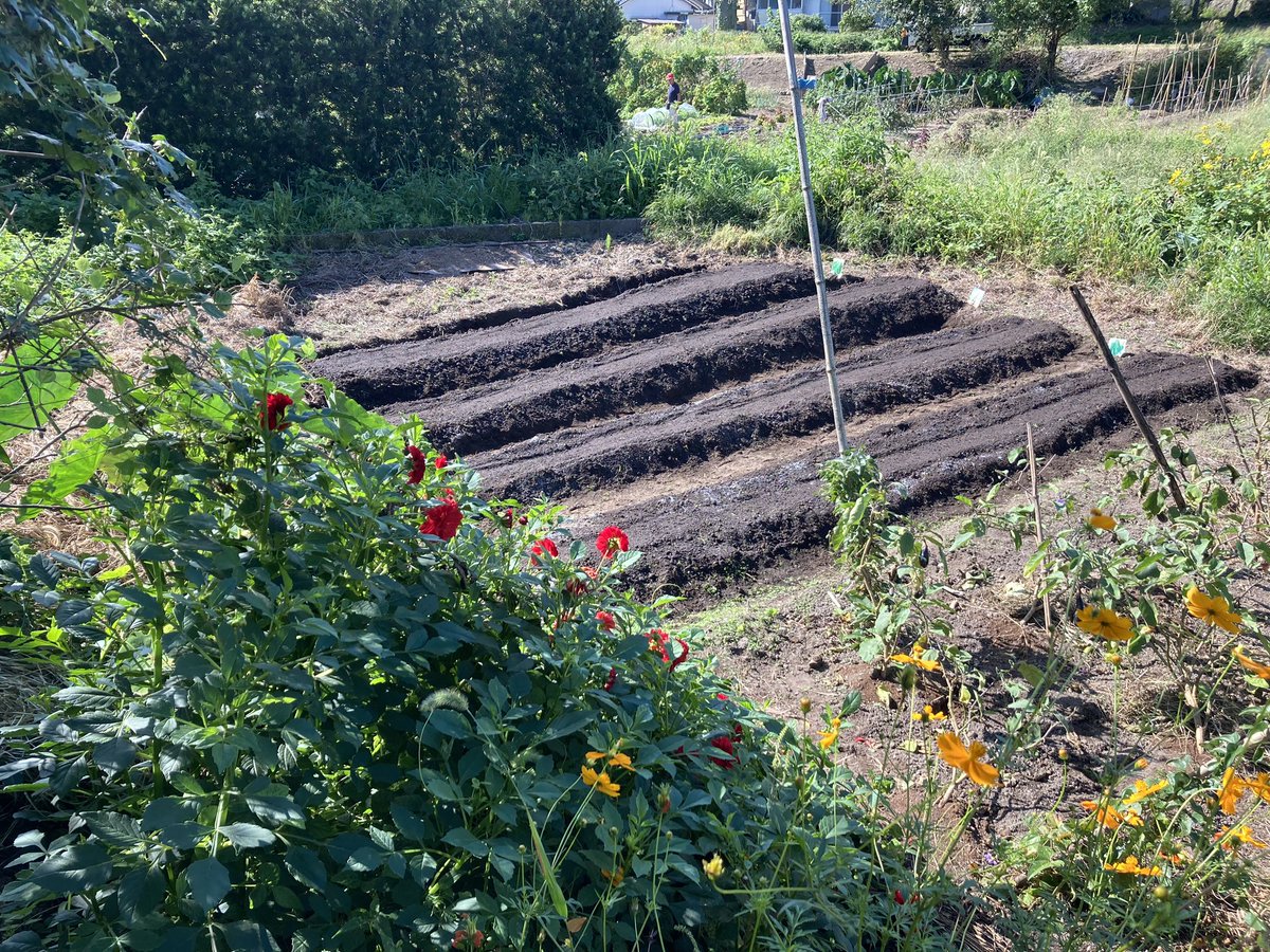 SelfimageDesign's tweet image. 2022年６月から始めた野菜作り。

始める前に土地ややり方を
探そうとしていた所、
スルスルと情報が引き寄せられ

野菜作り師匠と場所、作り方を
あっという間に現実化しました。

感謝。

#野菜作り
#自家菜園
#物価高騰