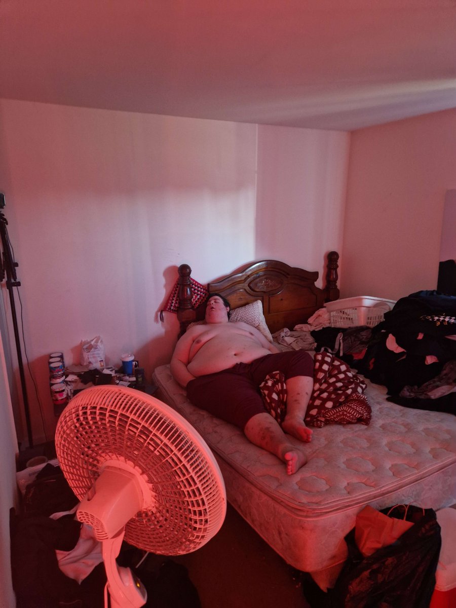 MINITITAN tweet media