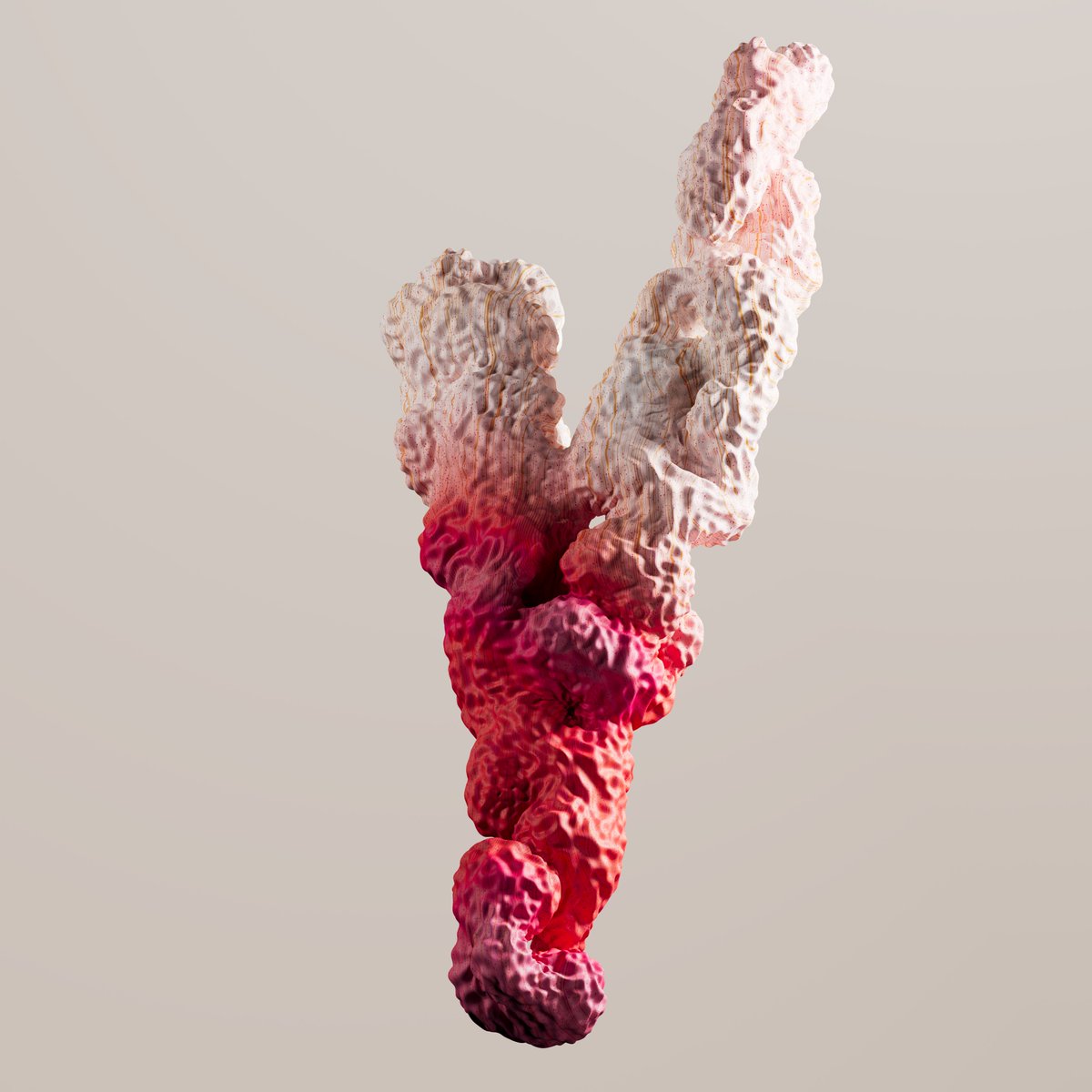 Robert Coker tweet media