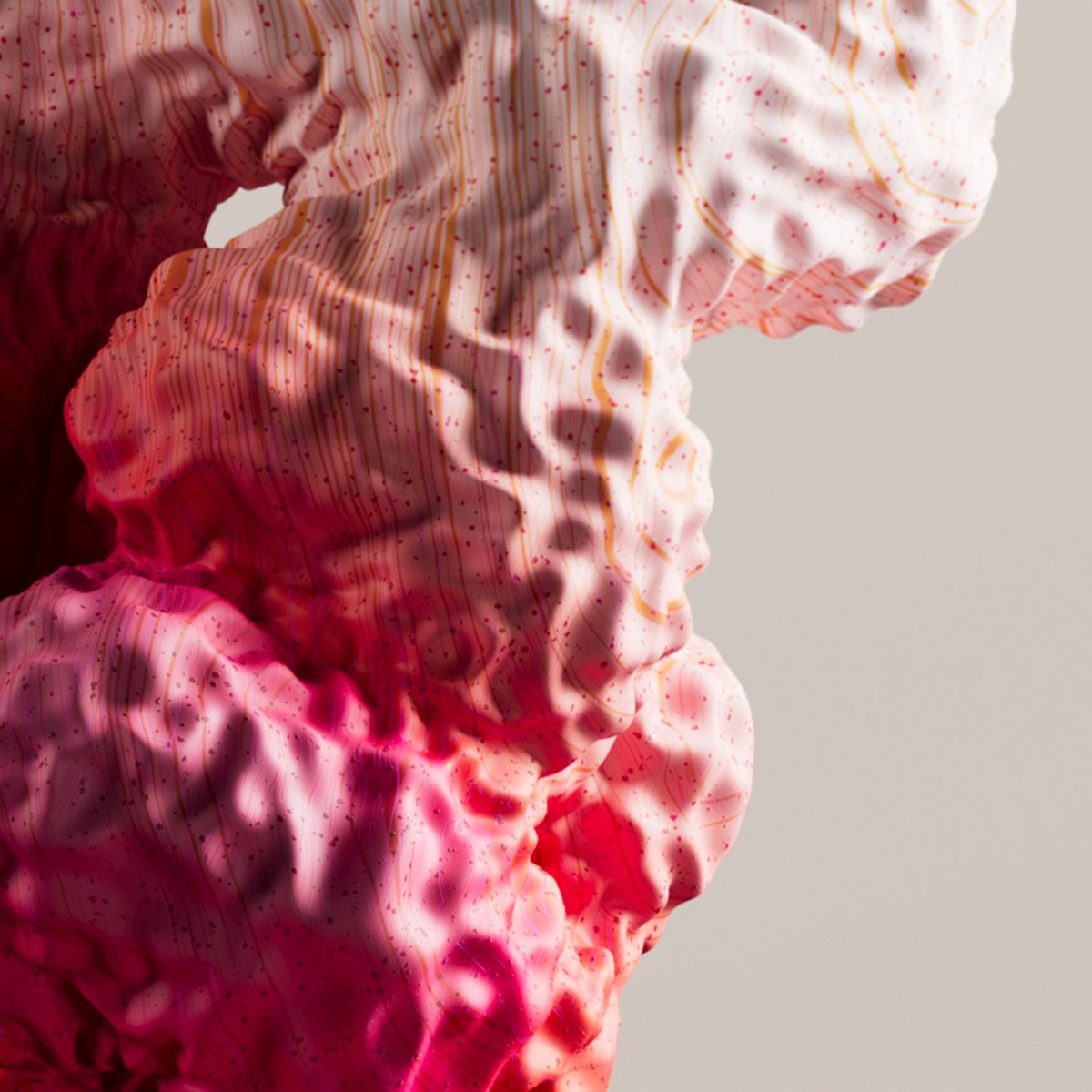 Robert Coker tweet media