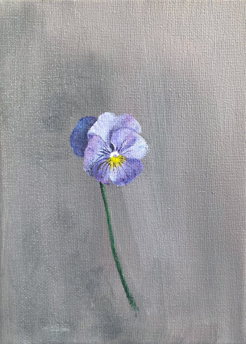 少々小雨、少々曇り空のあたたかい一日でした
変わりなくやってくる明日も良い一日でありますように