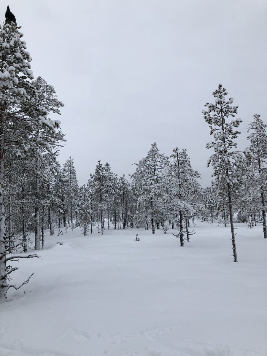 BenTrading tweet media