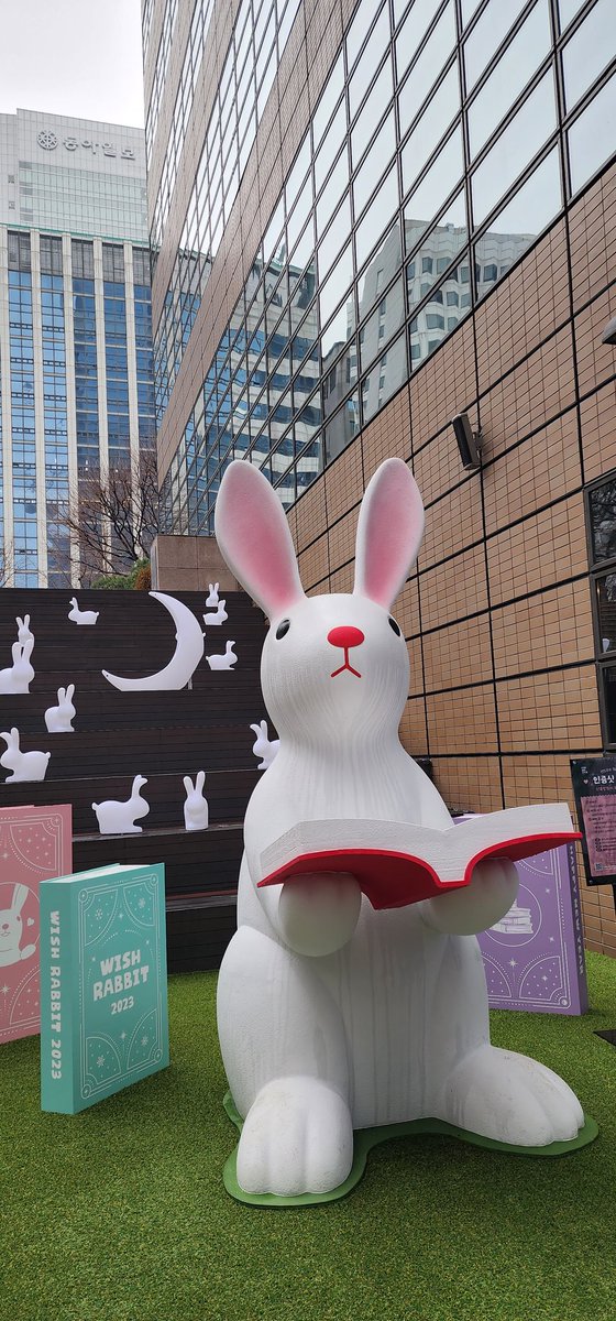 톡히보니 보고싶은 정구기