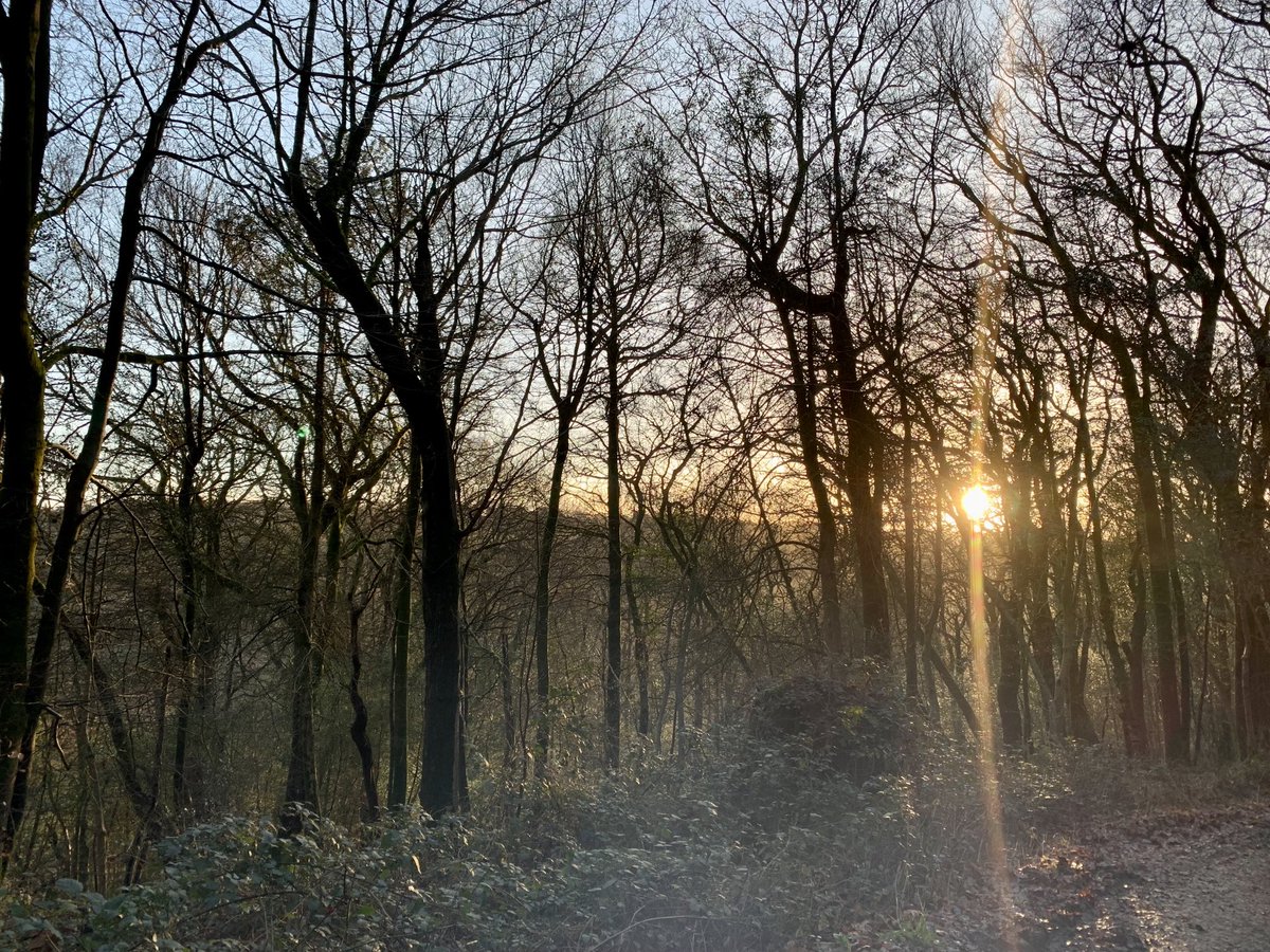 After so much rain it was just nice to be out again this morning. #Sussex looking lovely front the Temple of the Winds on Black Down. ⁦<a href="/southeastNT/">National Trust South East</a>⁩ ⁦<a href="/sdnpa/">South Downs National Park</a>⁩ ⁦<a href="/TheSouthDownsNT/">The South Downs NT</a>⁩ ⁦<a href="/FriendSouthDwns/">Friends of the South Downs</a>⁩ #Haslemere