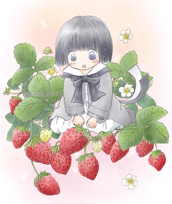 #苺の日  だそうなので、苺とハクセキレイちゃんをいちご狩りに行って、苺の写真を撮りまくりたいです。いちごといえばこの辺りでは章姫。酸味が少なくて美味しくて大好き。 