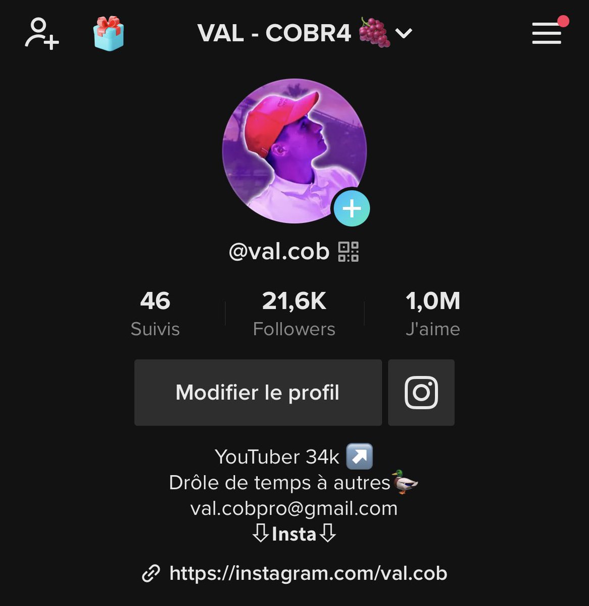 VAL 🍇 Cobr4. tweet media