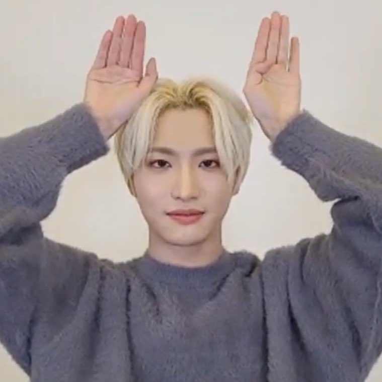 TDCATZ's tweet photo. 🐰 https://t.co/dLyt9mFLuq