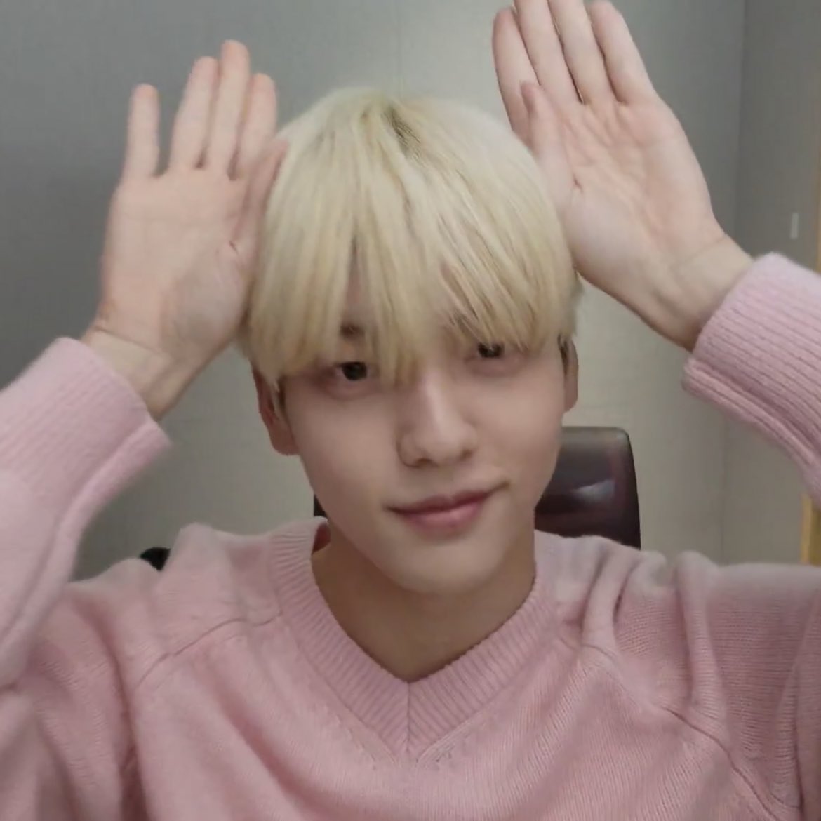 TDCATZ's tweet photo. 🐰 https://t.co/dLyt9mFLuq