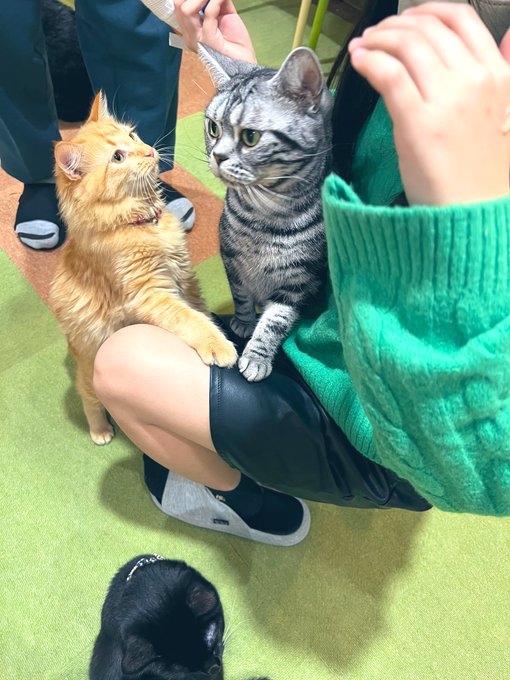 Twitterのコスプレ画像22