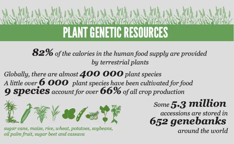 The Crop Trust (@croptrust) on Twitter photo 🌎 Biodiversity, including genetic diversity, is decreasing at an alarming rate.
Some of the reasons:
☀️ Climate change
📉 Loss of natural habitats
🌳 Environmental degradation
Learn more about the importance of #biodiversity via <a href="/FAO/">Food and Agriculture Organization</a>
➡️ buff.ly/3HtrFFX 🌎 Biodiversity, including genetic diversity, is decreasing at an alarming rate.
Some of the reasons:
☀️ Climate change
📉 Loss of natural habitats
🌳 Environmental degradation
Learn more about the importance of #biodiversity via <a href="/FAO/">Food and Agriculture Organization</a>
➡️ buff.ly/3HtrFFX