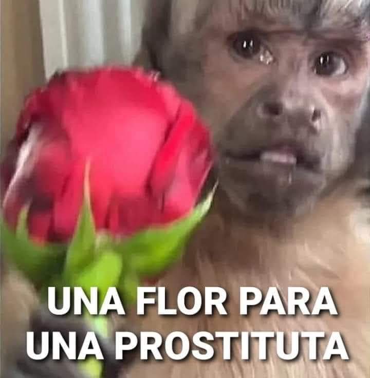 5458Diego's tweet photo. @TuErasElElegido https://t.co/LgecVanhXO