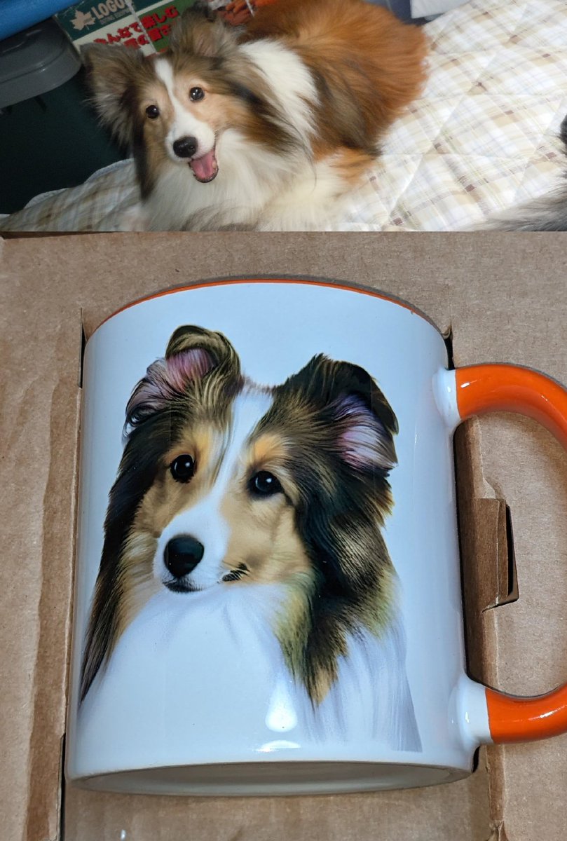 まぁ様❤シェットランドシープドッグ 印鑑スタンド♡ まぁ様