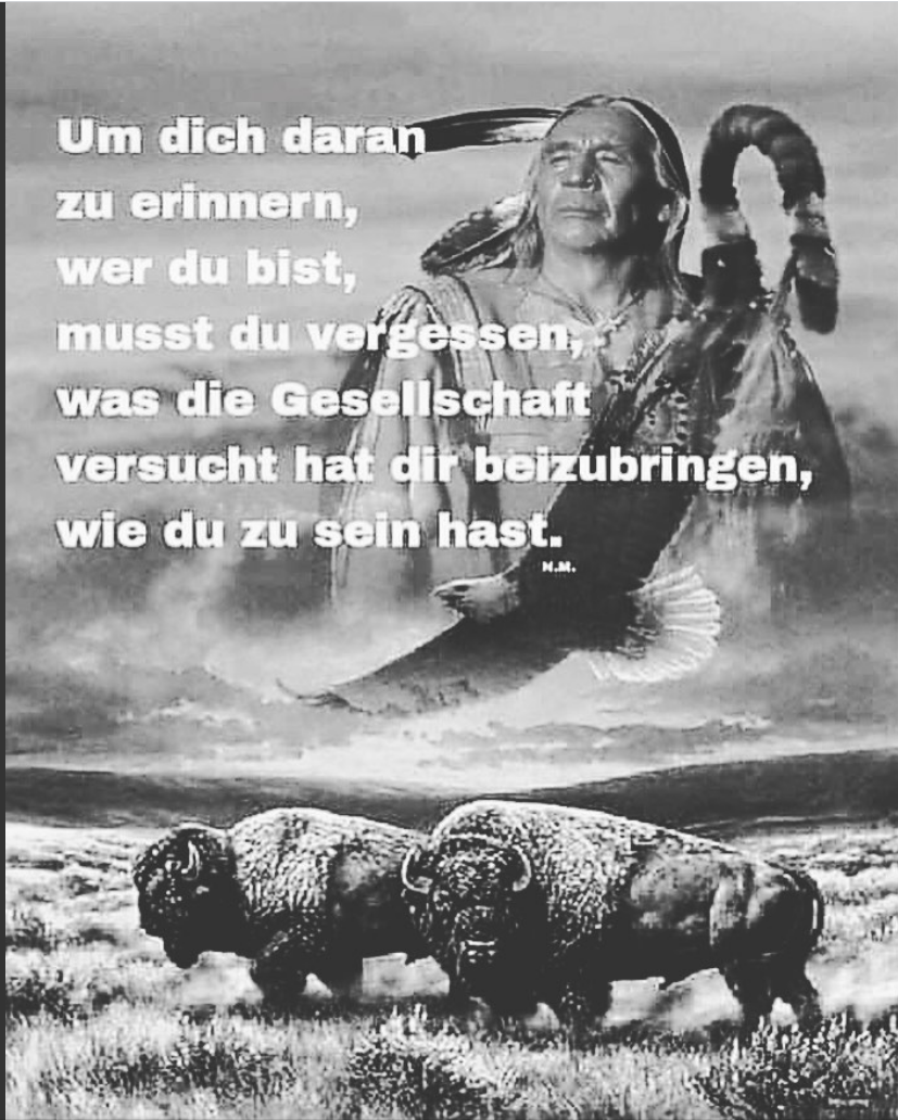prof_scheld tweet picture