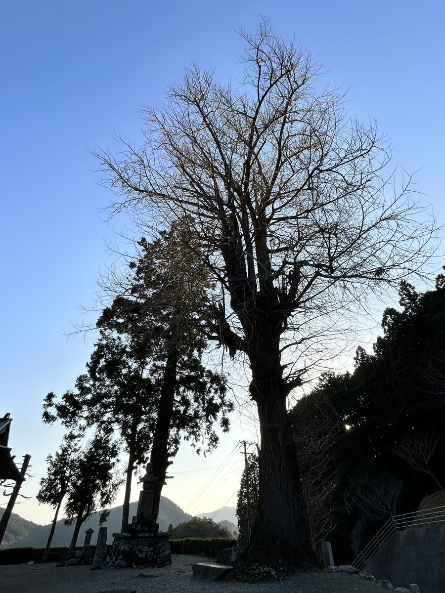 aizumi_sensyu55's tweet photo. 翌年伊予国司河野家に男子が生まれたが左手を開かなかった。安養寺の住職が祈願したところ開いた掌から「衛門三郎」と書かれた石が現れた。寺は石手寺と改称し石は寺宝となっている。
史実ではこの頃まだ河野氏は現れておらずその前身越智氏に伝わる伝承だったのかも知れない。 https://t.co/guUnP0DhHM