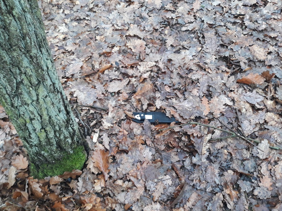 Včera jsem při procházce zapomněl na kopci Hradisko u Bosonoh vrhací nože.
Zjistil jsem to tak pozdě, že bych se za světla nestihl vrátit.
Tak jsem pro ně šel teď dopoledne a byly tam.