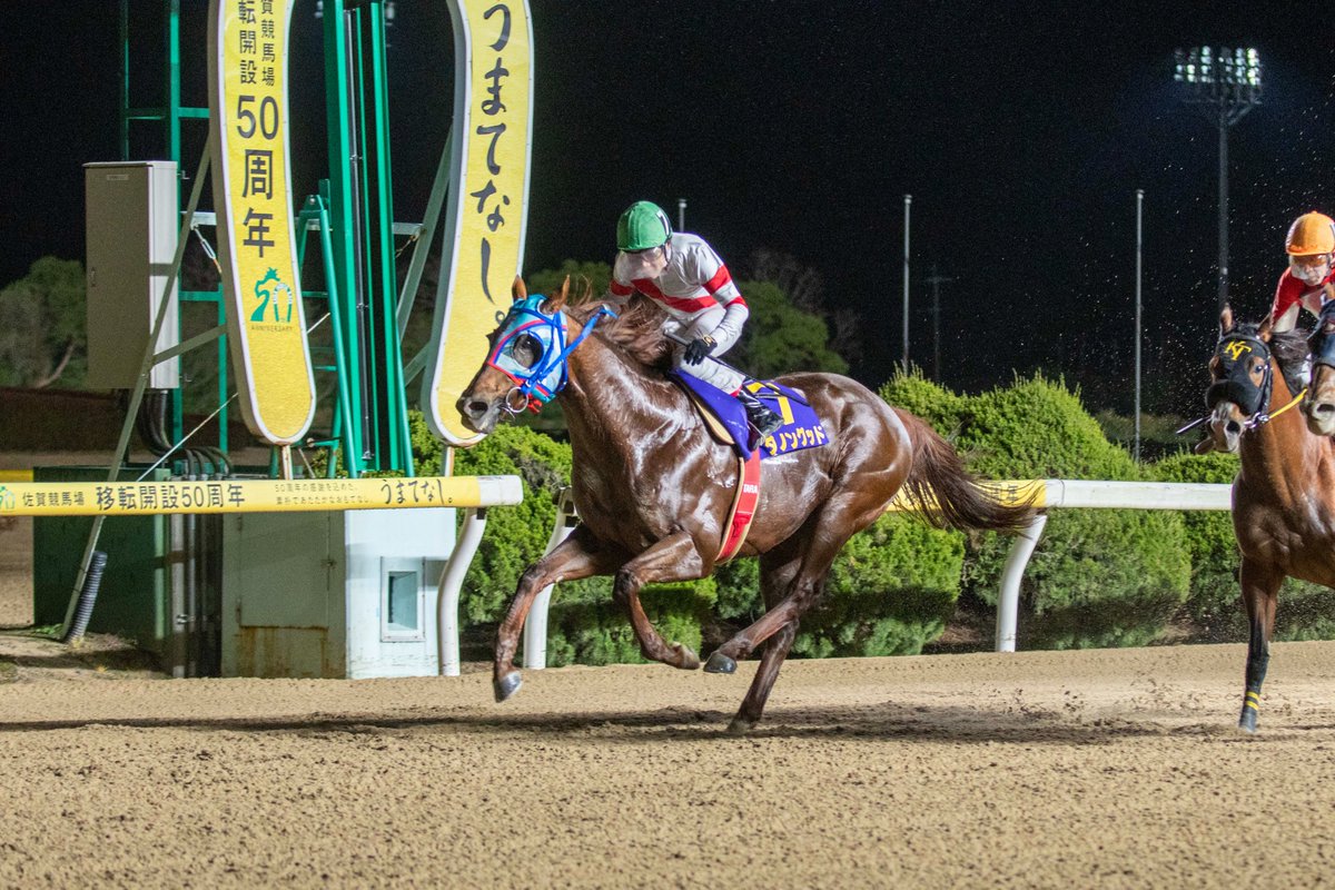 すいません💦大変遅くなりました😢１月１５日に佐賀競馬場で行われた第２回ゴールドスプリントに  #ダノングッド  #ダノンジャスティス が出走し見事  #ダノングッド がレコードで連覇しました♪たくさんのお祝いコメントいただきありがとうございました♥
 #高知競馬場  #別府真司厩舎  #ダノングッド 