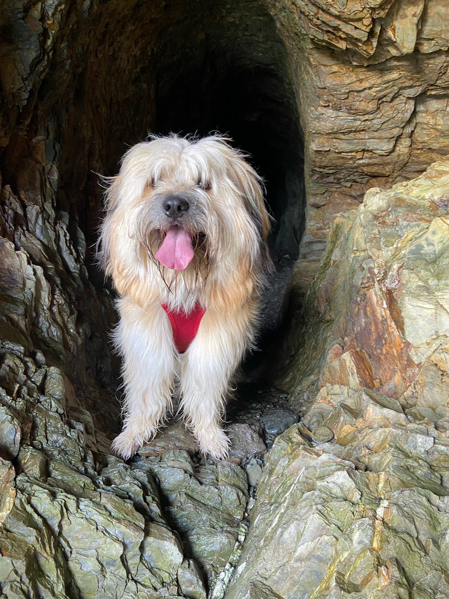 Daddy has taken me on the beach &amp; cave hunting today