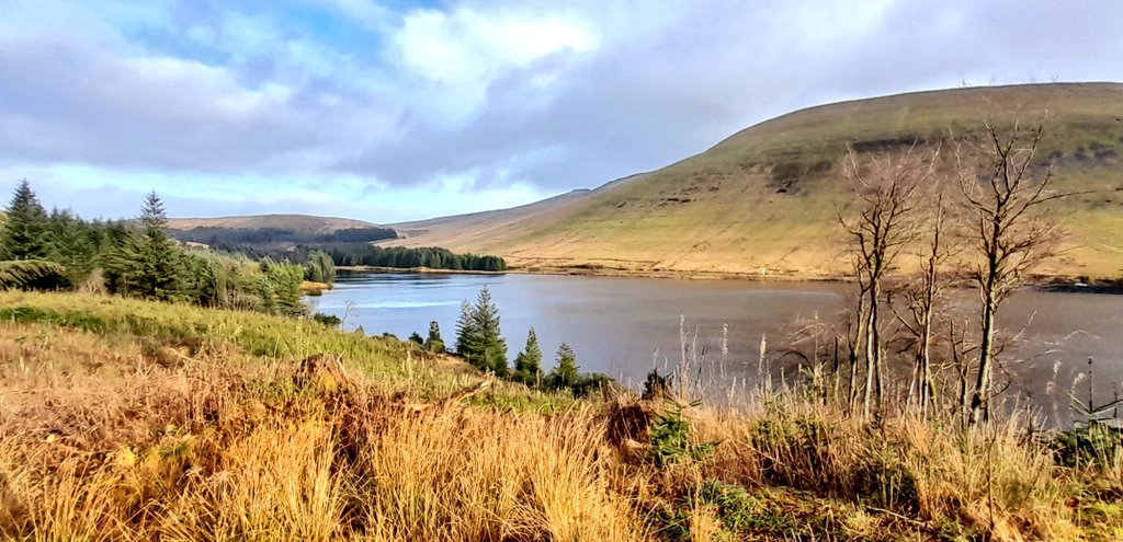 GANDJOEY's tweet image. After the wind and rain of the first half of January, it's nice to see some sunshine. Loop of Cantref and Beacons Reservoirs, a dusting of sleet on the north facing slopes heading towards Penyfan.
#BeautifulOut