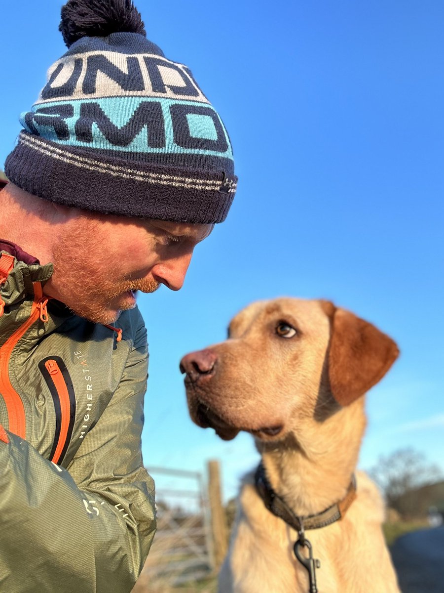sjohnstonpga's tweet photo. Wilson and I popped in a 9k run this morning. Heβs doing really wellβ¦.heβll be at 1/2 marathon level in no time. #runningpartner #mate #mansbestfriend https://t.co/nesqQEhfWw