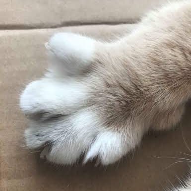 jeun🦭 (@jeunbiu) on Twitter photo 