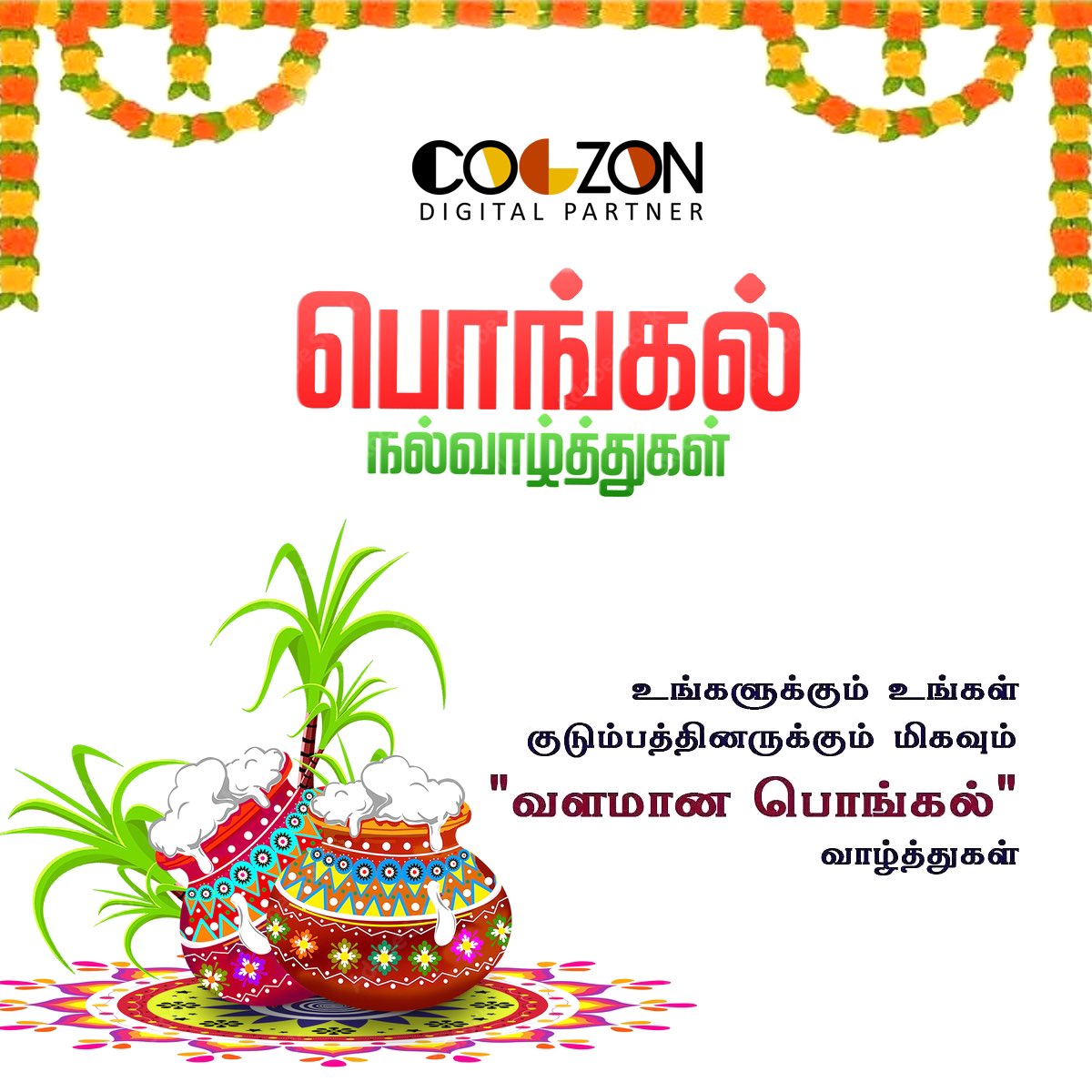 cogzon's tweet photo. Happy #Pongal #2023 #Tamilnadu #Festivals https://t.co/5ho2BCmLFd