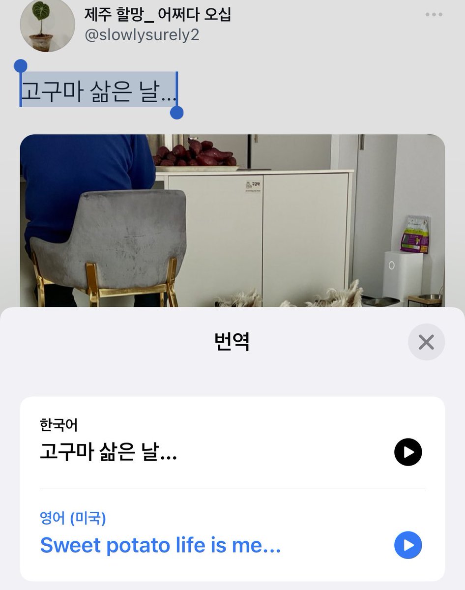 bback_it_up's tweet photo. 고구마 삶은 날... https://t.co/EU4PHubSE3