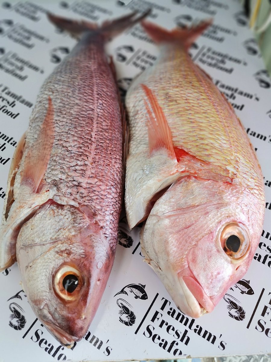 FishTamtam's tweet photo. Fresh Whole Red Snappers available in different sizes. Kes 1200 per kg.
Order via 0721639601

✨FREE DELIVERY within South B and for Orders above 2kg

#freshfishdaily #freshfishalerts #tamtamfreshfish #fishshop #freshfish #samaki #fishmongers #freshin https://t.co/QaUJgNbyIf