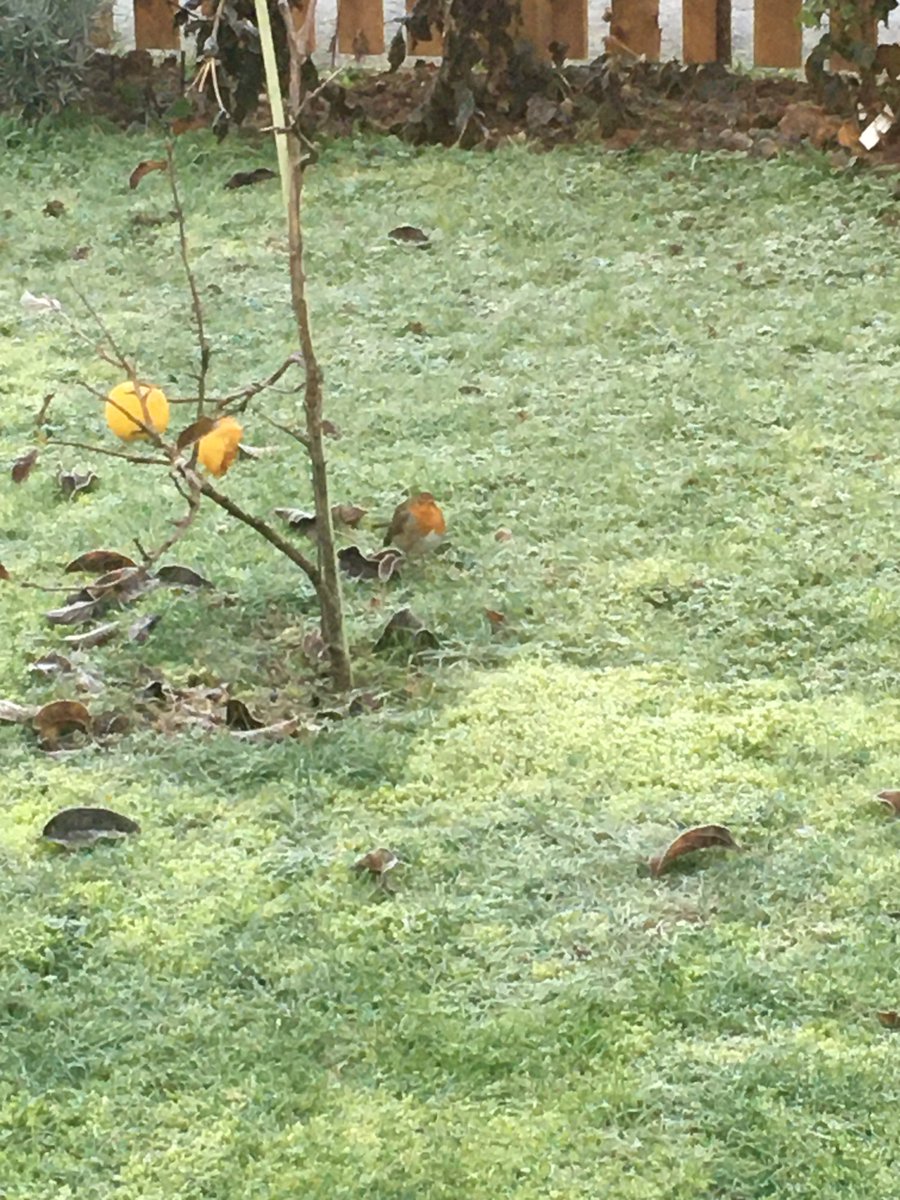 CIM Associates UK Ltd tweet media