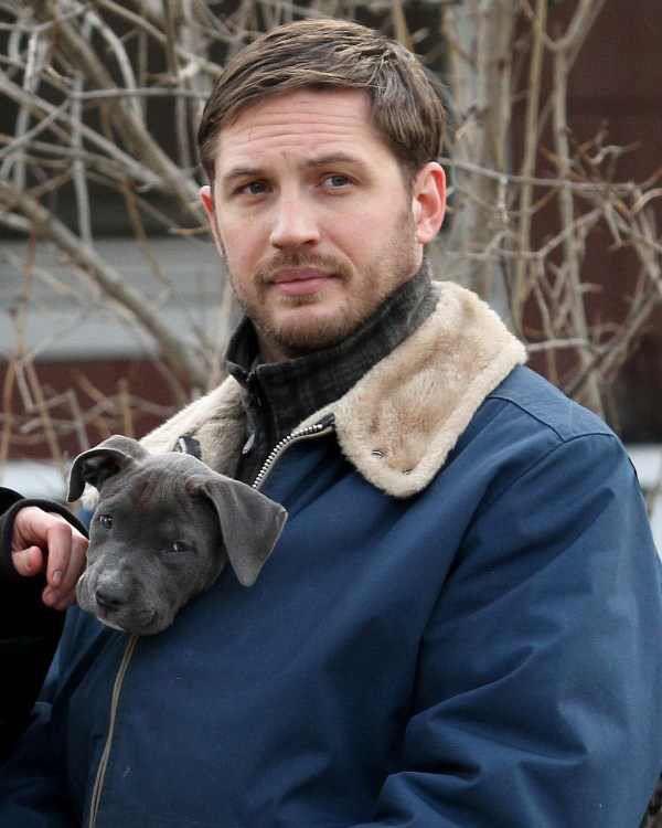 ElectricDream tweet media