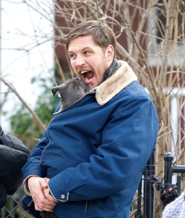 ElectricDream tweet media