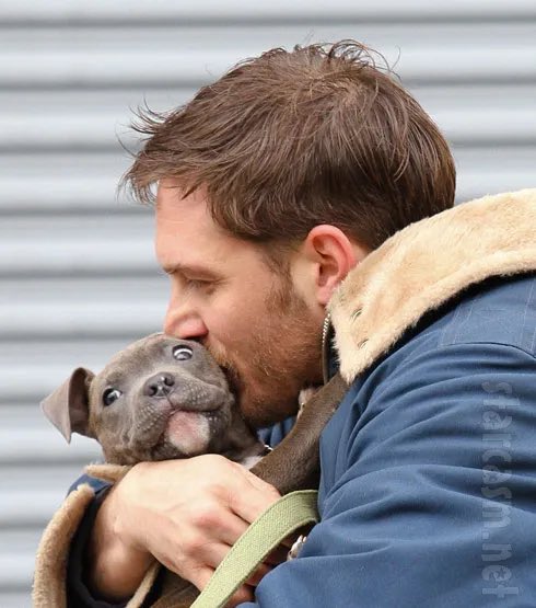 ElectricDream tweet media