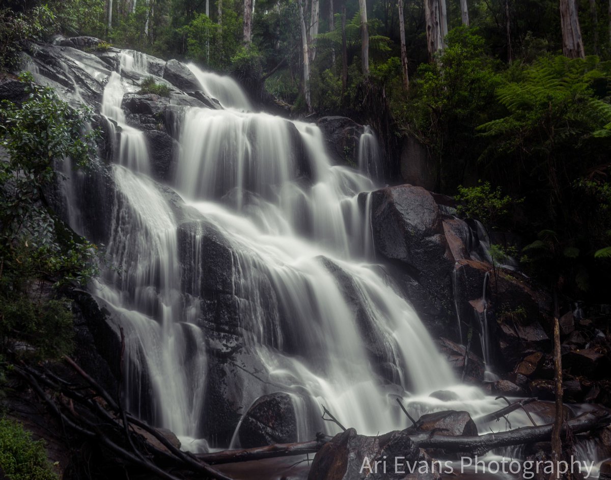 Toorongo Falls is about a two hour drive from Melbourne CBD. Beautiful falls with a walking track. An easy hike for most, with many places to stop along the way. #Melbourne #visitvictoria