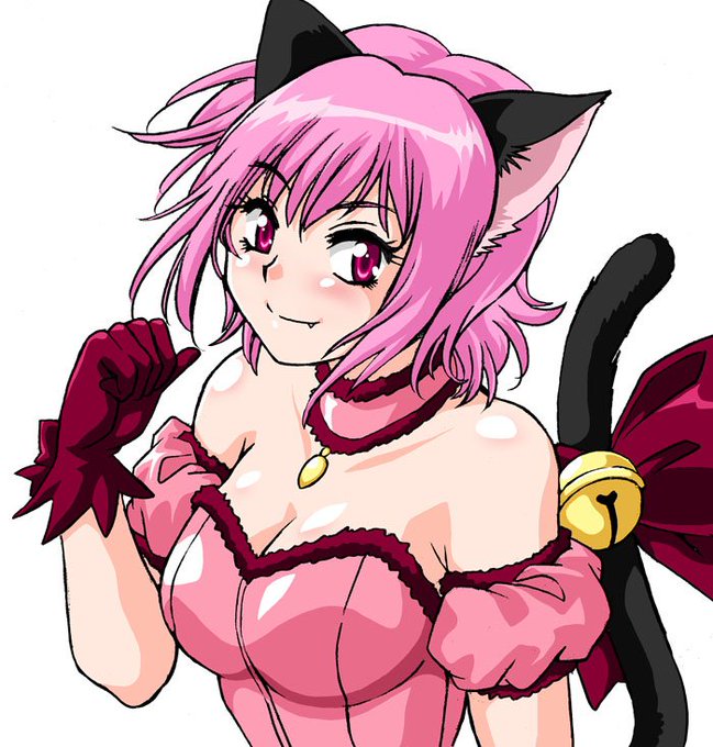 そうか、今日は1月15日でイチゴの日か。それに会わせての発送であったかミュウイチゴ。 