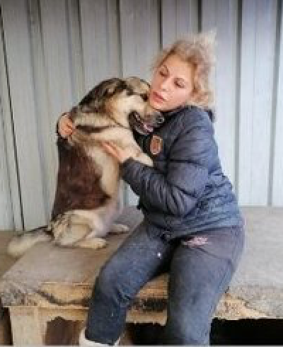 SuZenMarie's tweet photo. To learn more about Ayse and to support her efforts with a donation, you can do so here💗
https://t.co/EuQevzZ3WF  @AyseLoveAnimals

To learn more about Hakki and Team Efeler and to support their efforts with a donation, you can do so here💗https://t.co/tQMNLzuepD
@efelercanlari https://t.co/mntRplBy9h