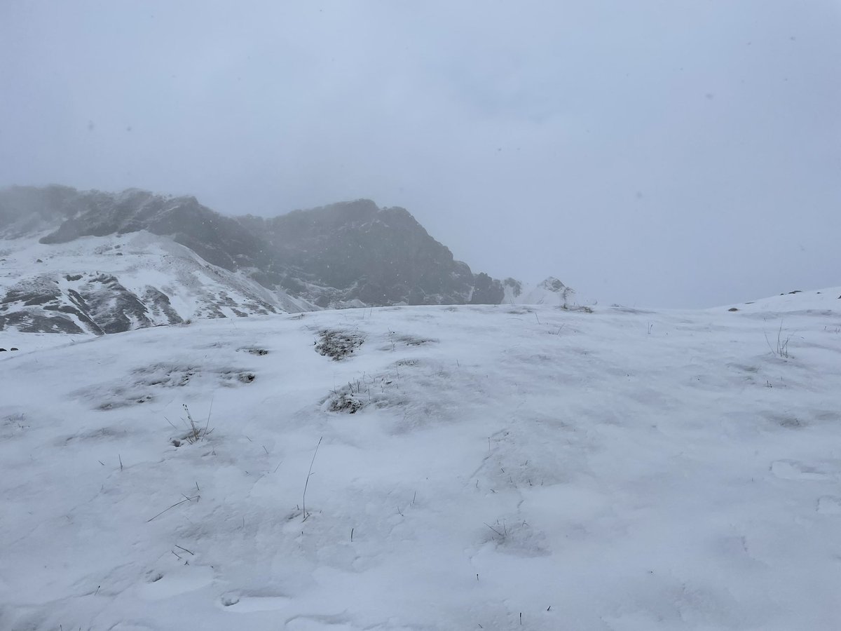 jrambaud's tweet photo. #Nieve en frontera #Francia #España #Aragon #Huesca #Pirineos #Pyrinees #meteo #weather #snow #Portalet con @EltiempoenCadiz https://t.co/Z1CE6gKy3d