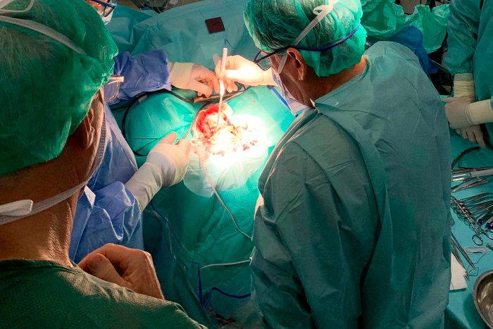 MELILLA_HOY's tweet photo. Extirpan por primera vez en Melilla un tumor cerebral con neuronavegación

https://t.co/2Bxqgum5S8 https://t.co/adUP5OhG93