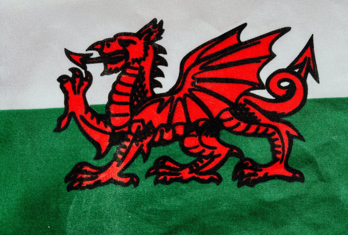 cardiffcouncil's tweet photo. 🏴󠁧󠁢󠁷󠁬󠁳󠁿 There is a free 8-week Welsh Course in Central Library every Thursday from 2 Feb at 13.45 – 15.45. This is a wonderful opportunity for anyone looking to gain new skills and is suitable for complete beginners. To enrol contact info@learnwelsh.co.uk. https://t.co/lppcgSnWRW